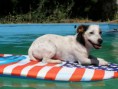/album/fotogalerie/balaton-382-jpg/